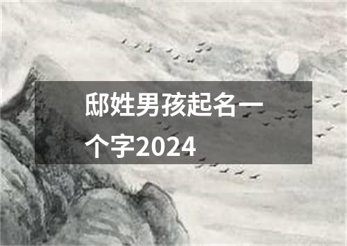 邸姓男孩起名一个字2024