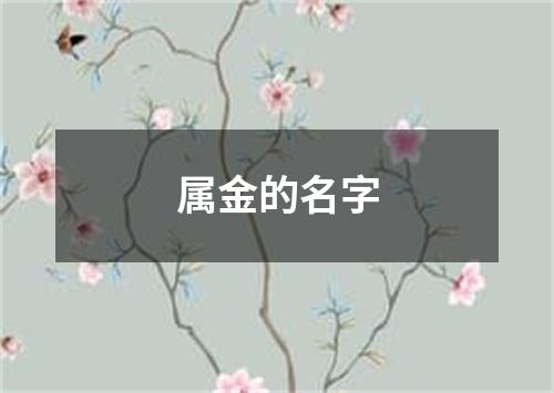 属金的名字