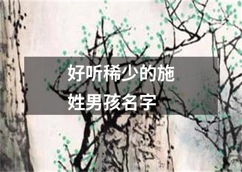 好听稀少的施姓男孩名字