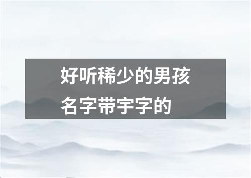 好听稀少的男孩名字带宇字的