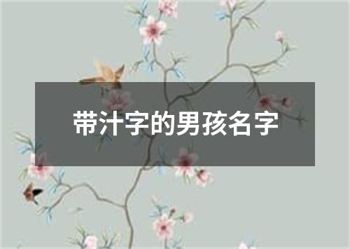 带汁字的男孩名字