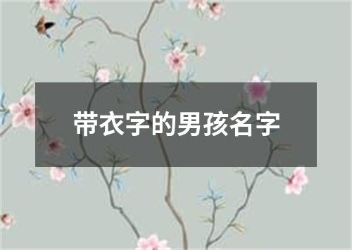 带衣字的男孩名字