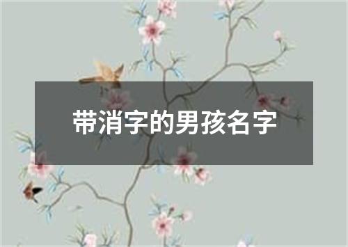 带消字的男孩名字