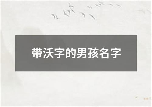 带沃字的男孩名字