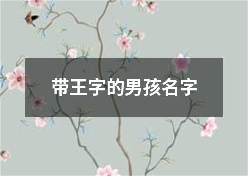 带王字的男孩名字