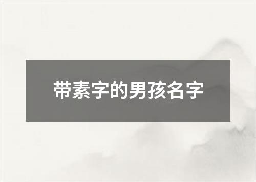 带素字的男孩名字