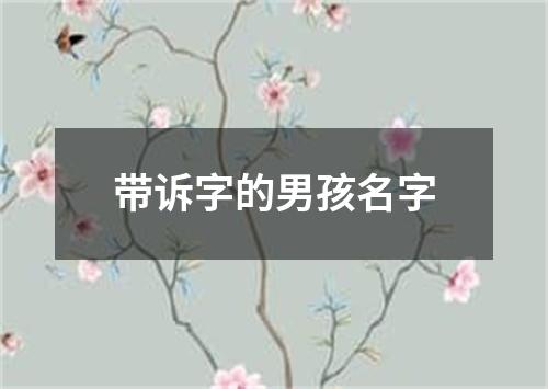 带诉字的男孩名字