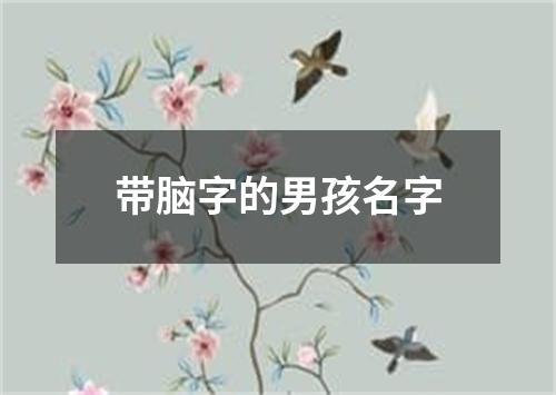 带脑字的男孩名字