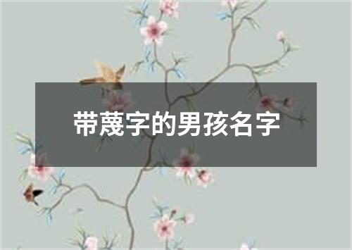 带蔑字的男孩名字