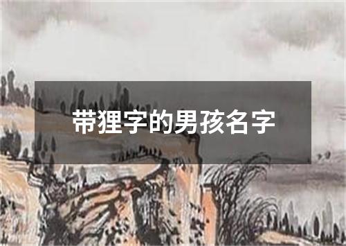 带狸字的男孩名字