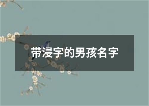 带浸字的男孩名字