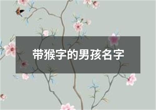 带猴字的男孩名字