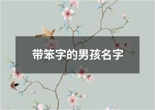 带笨字的男孩名字