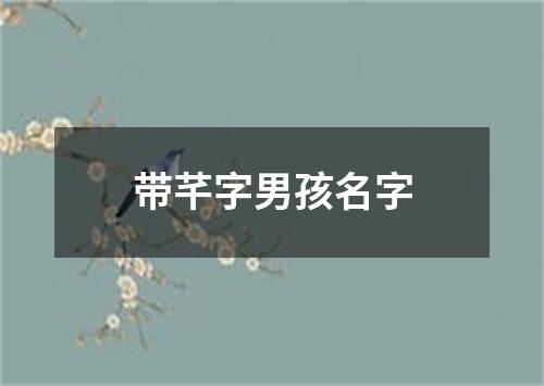 带芊字男孩名字