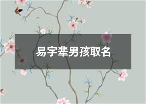 易字辈男孩取名