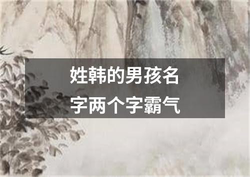 姓韩的男孩名字两个字霸气