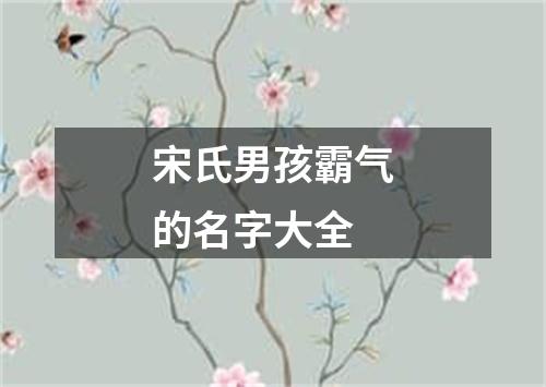 宋氏男孩霸气的名字大全