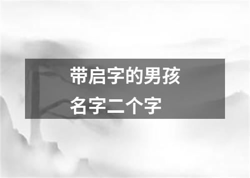 带启字的男孩名字二个字