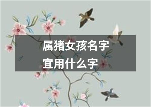 属猪女孩名字宜用什么字