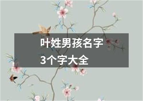 叶姓男孩名字3个字大全