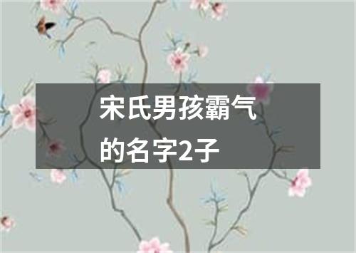 宋氏男孩霸气的名字2子