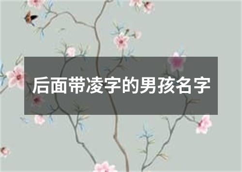 后面带凌字的男孩名字