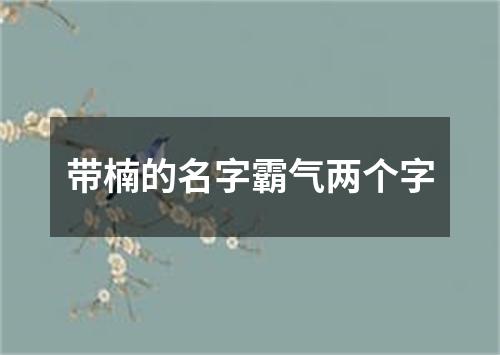 带楠的名字霸气两个字