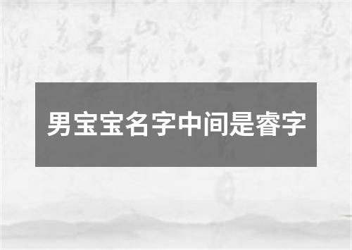 男宝宝名字中间是睿字