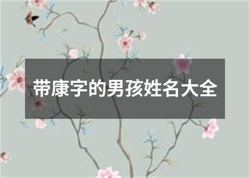 带康字的男孩姓名大全