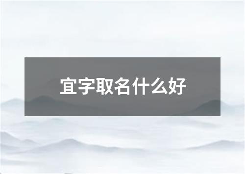 宜字取名什么好