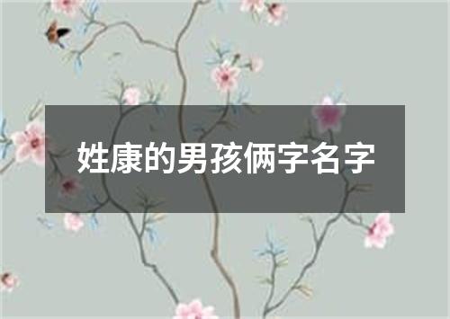 姓康的男孩俩字名字