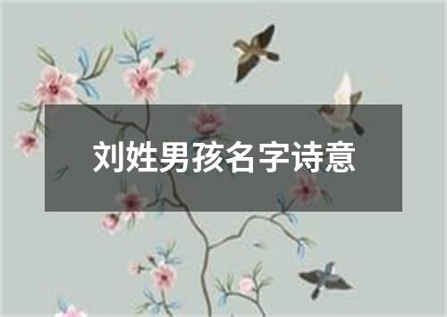 刘姓男孩名字诗意