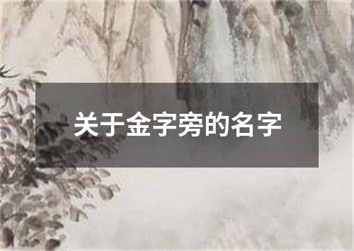 关于金字旁的名字