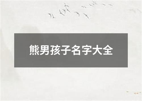 熊男孩子名字大全