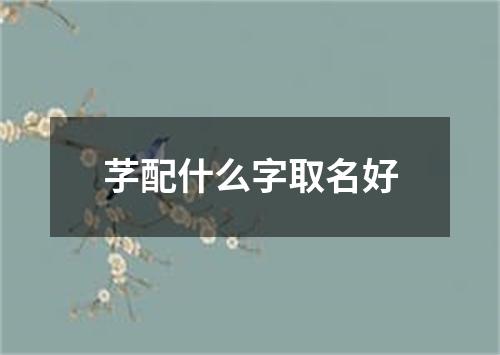 芓配什么字取名好