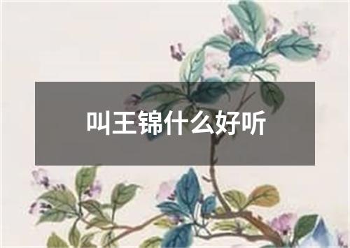 叫王锦什么好听