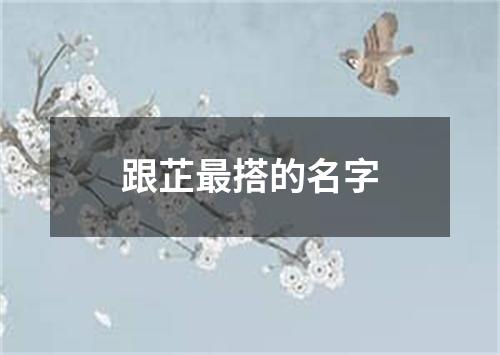 跟芷最搭的名字