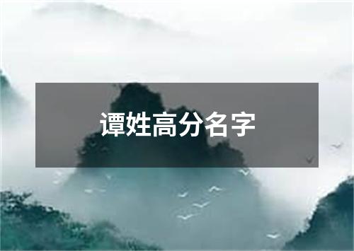 谭姓高分名字