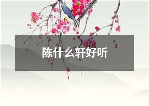 陈什么轩好听