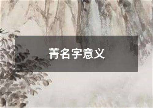 菁名字意义