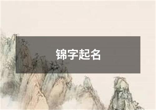 锦字起名