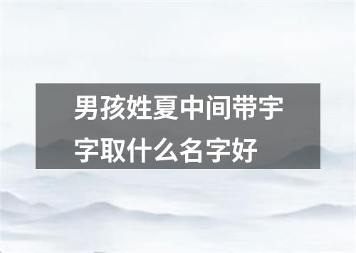 男孩姓夏中间带宇字取什么名字好