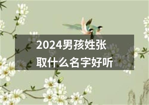 2024男孩姓张取什么名字好听