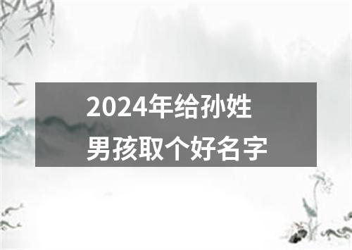 2024年给孙姓男孩取个好名字