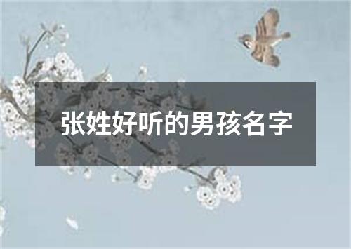 张姓好听的男孩名字