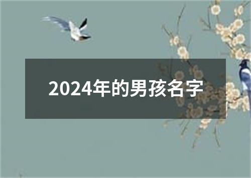 2024年的男孩名字