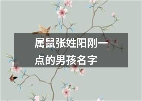 属鼠张姓阳刚一点的男孩名字