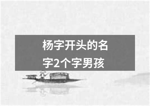 杨字开头的名字2个字男孩