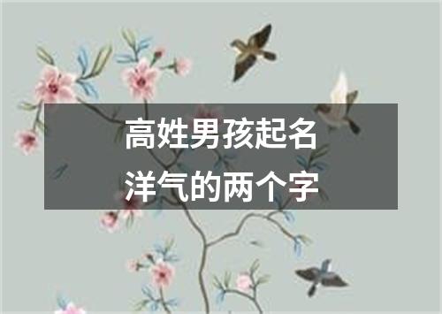 高姓男孩起名洋气的两个字