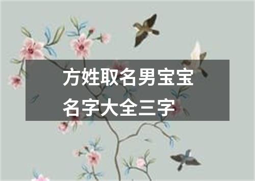 方姓取名男宝宝名字大全三字